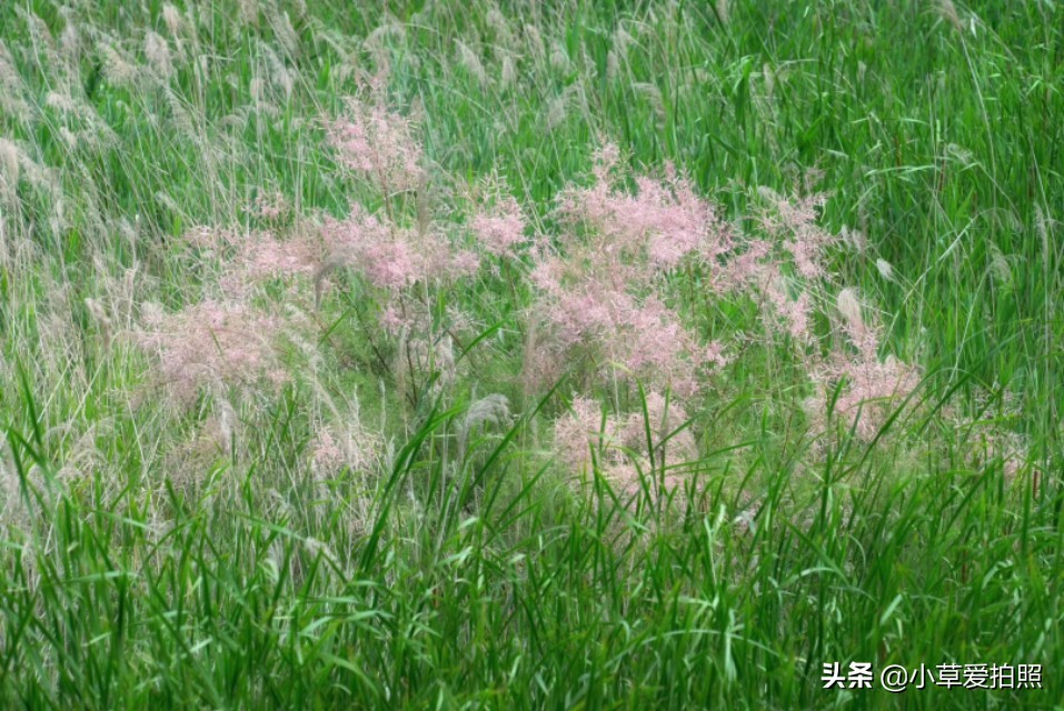 山东威海羊亭湿地公园游记,威海站到羊亭湿地公园