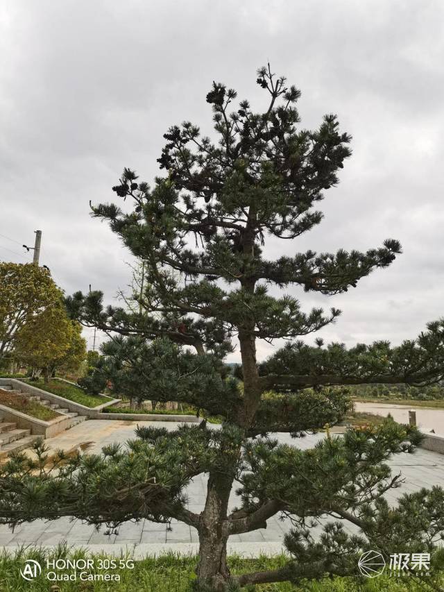 出街神器防蓝光百搭素颜,最好用的出街神器