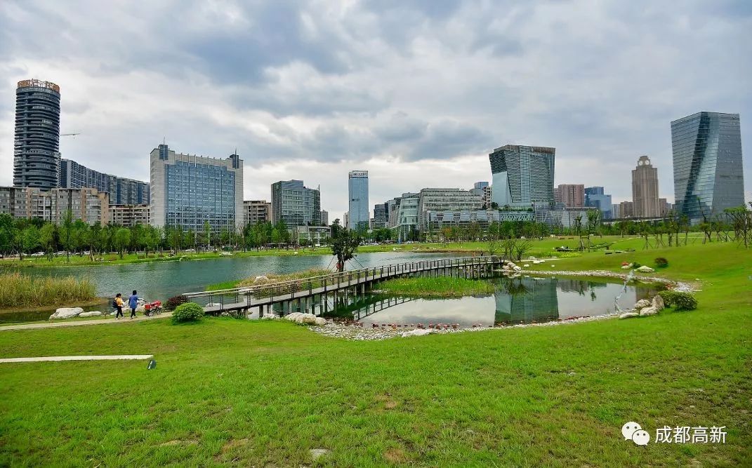 来！跟小高一起打卡2019年成马赛道网红点