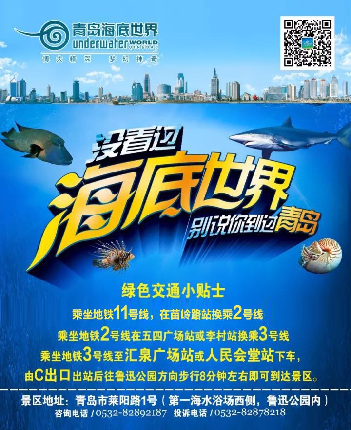 闈掑矝鏃呮父缃戠孩缇庨鎵撳崱鎺ㄨ崘,娴锋磱鍔ㄧ墿娴峰簳涓栫晫鎵撳崱