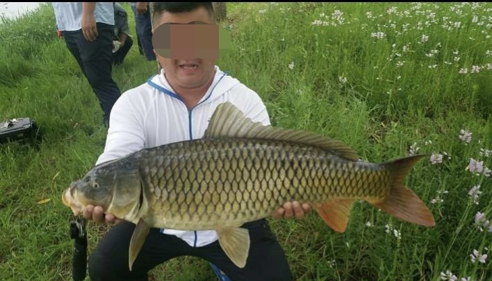 一到秋季鱼怎么不好钓了,秋季钓大鱼最容易犯的误区