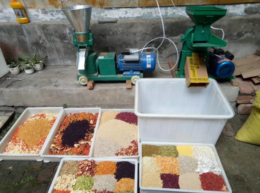 鹦鹉喂颗粒饲料好还是谷物好,鹦鹉高能粮跟日常粮的区别