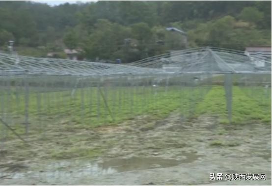 略阳县重点工程,略阳今年重点项目有哪些