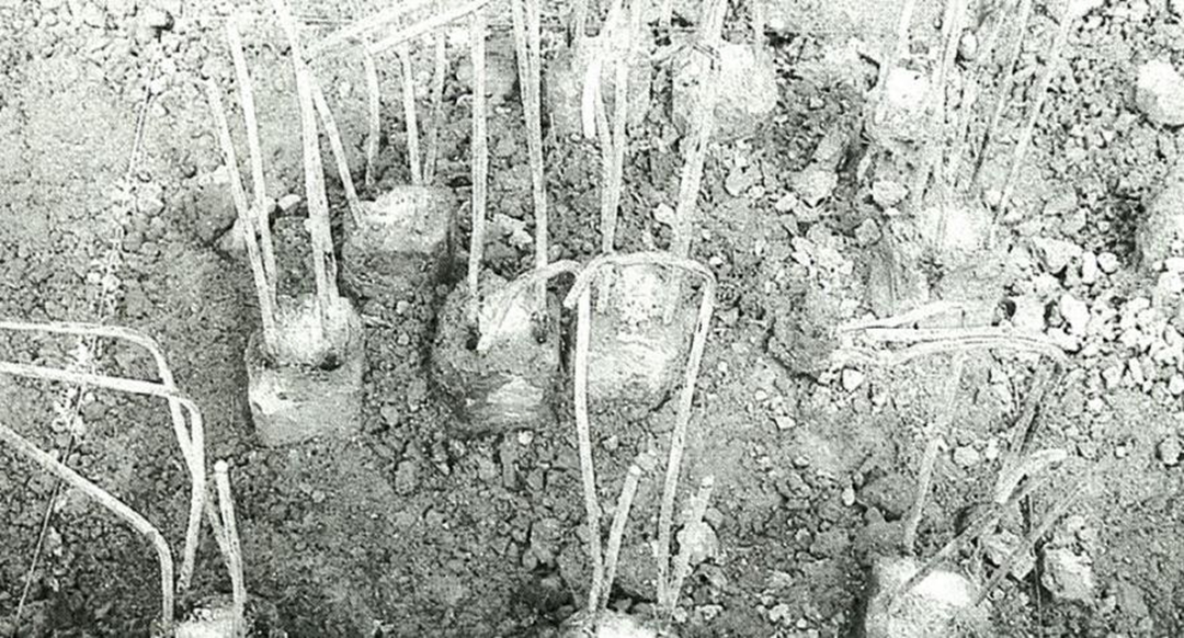 世界高楼倒塌死亡事件,酒店坍塌事件最新进展