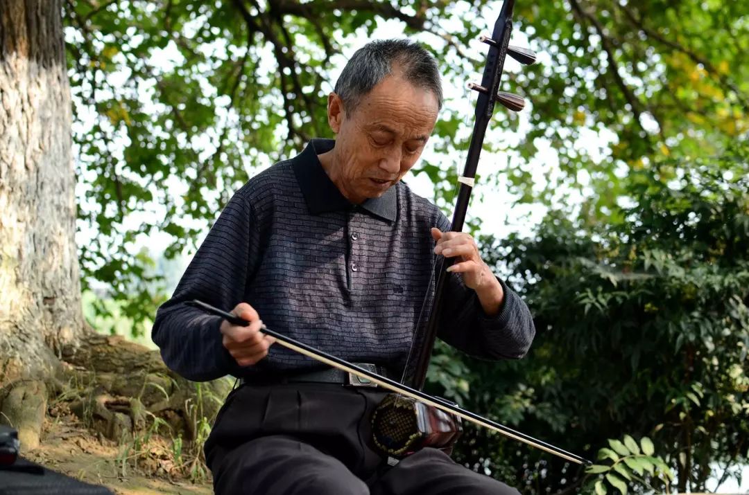 二胡的指法入门教程,二胡零基础入门指法练习教程