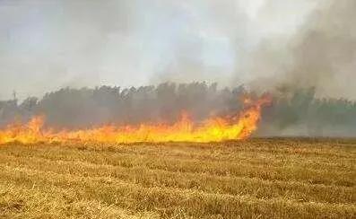 关于安全文明的快板,安全文明快板推荐