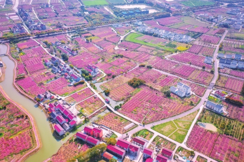 大战大考决战决胜鼓干劲,上海奉贤续写美强新答卷