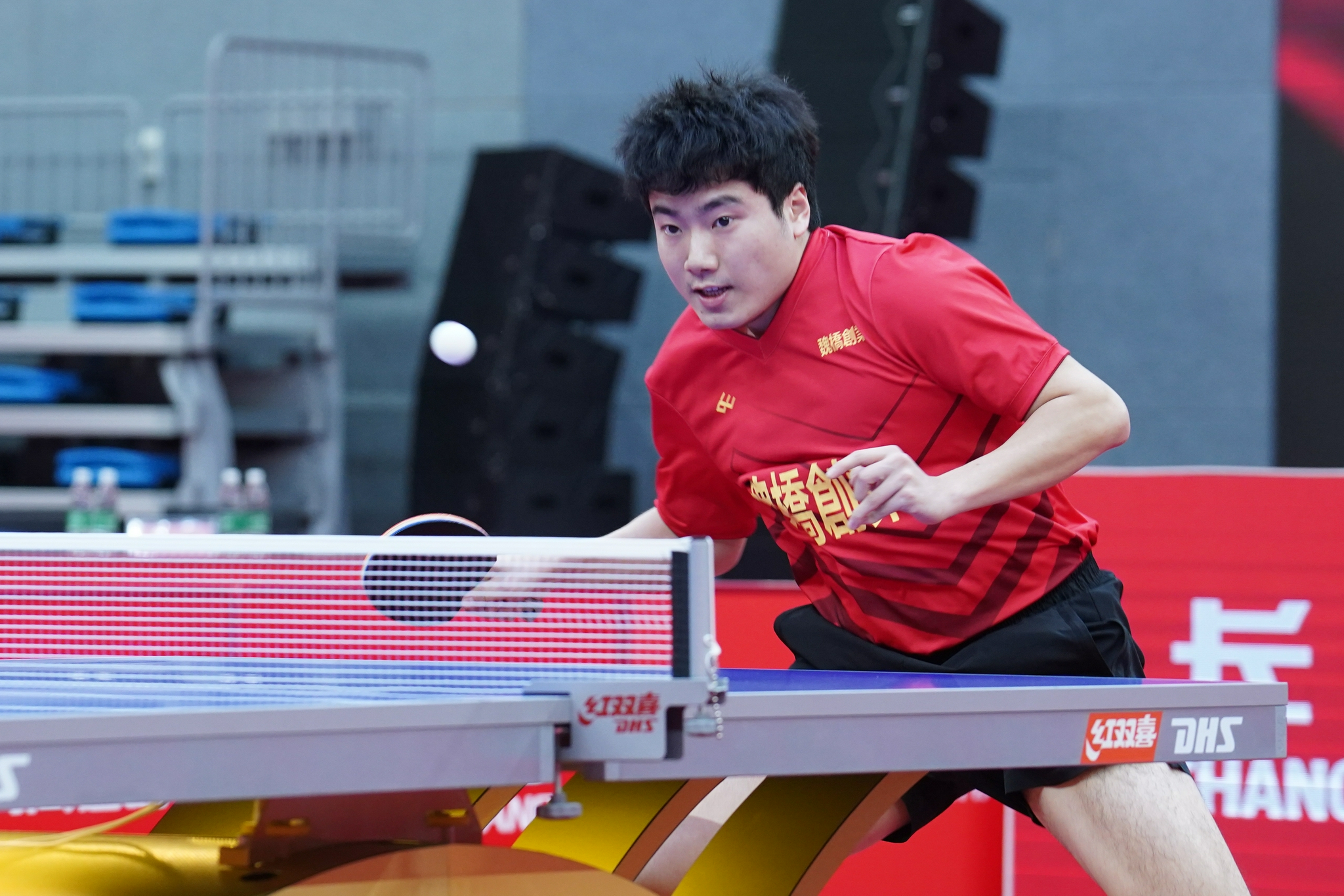 国乒绰号的由来:獒龙蟒、大小胖、大头、小枣、林妹妹…