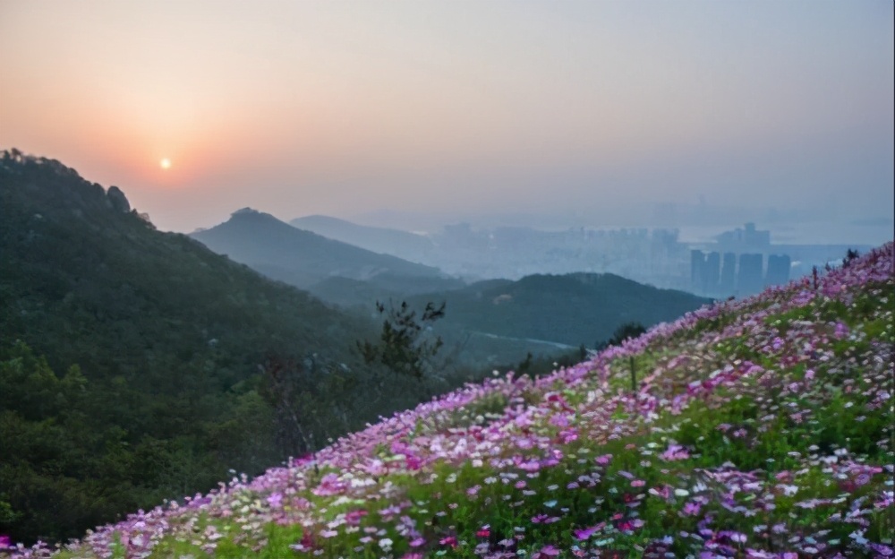 厦门旅游攻略免费,厦门旅游哪里好玩又免费攻略