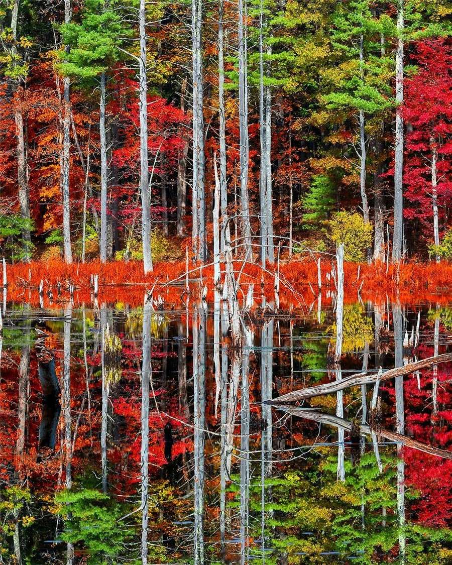 八年级上册语文文体知识,语文的文体有哪几种