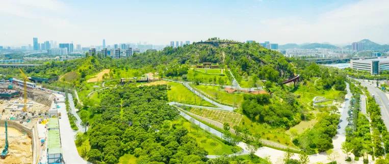 深圳西丽湖潜力,深圳西丽发展前景