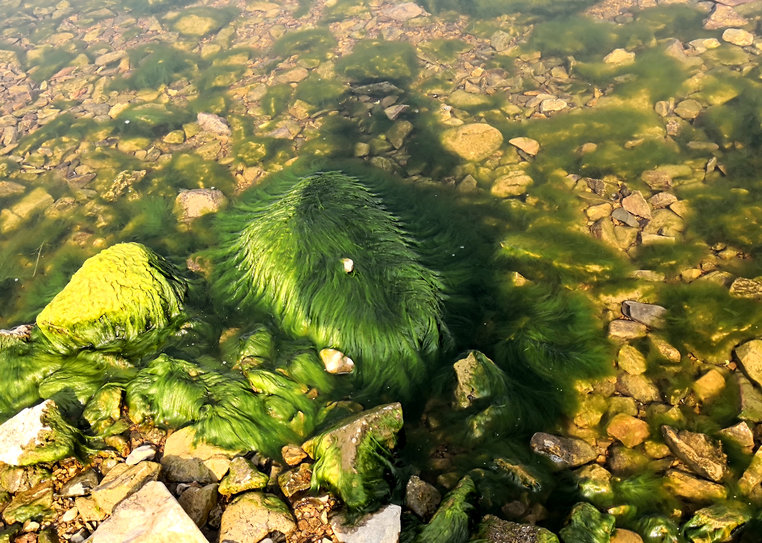 洱海值得去的地方,洱海真正值得去的地方