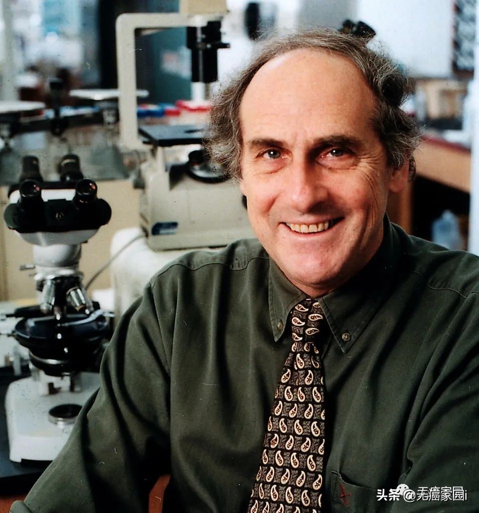 细胞激活治疗癌症的进展,细胞治疗新型癌症