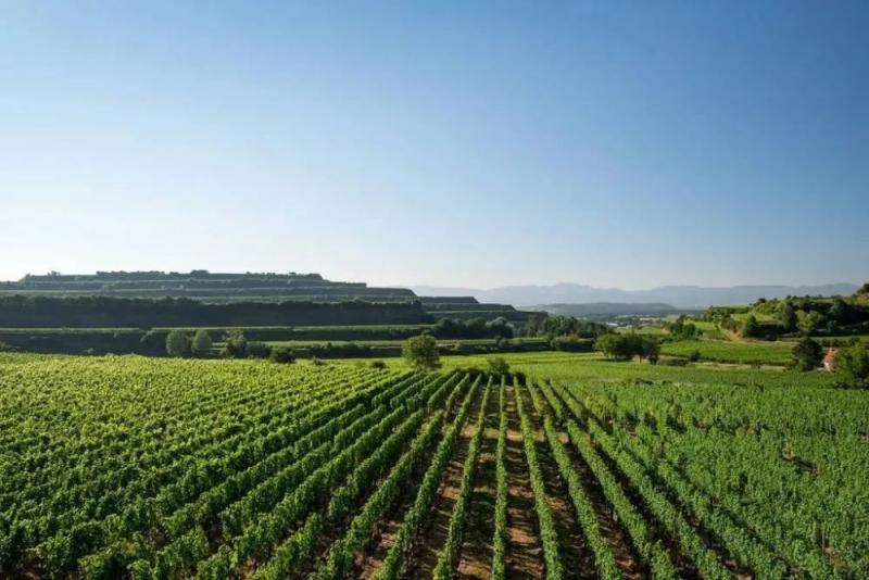 如何打造数字化农业示范基地,数字农业基地建设