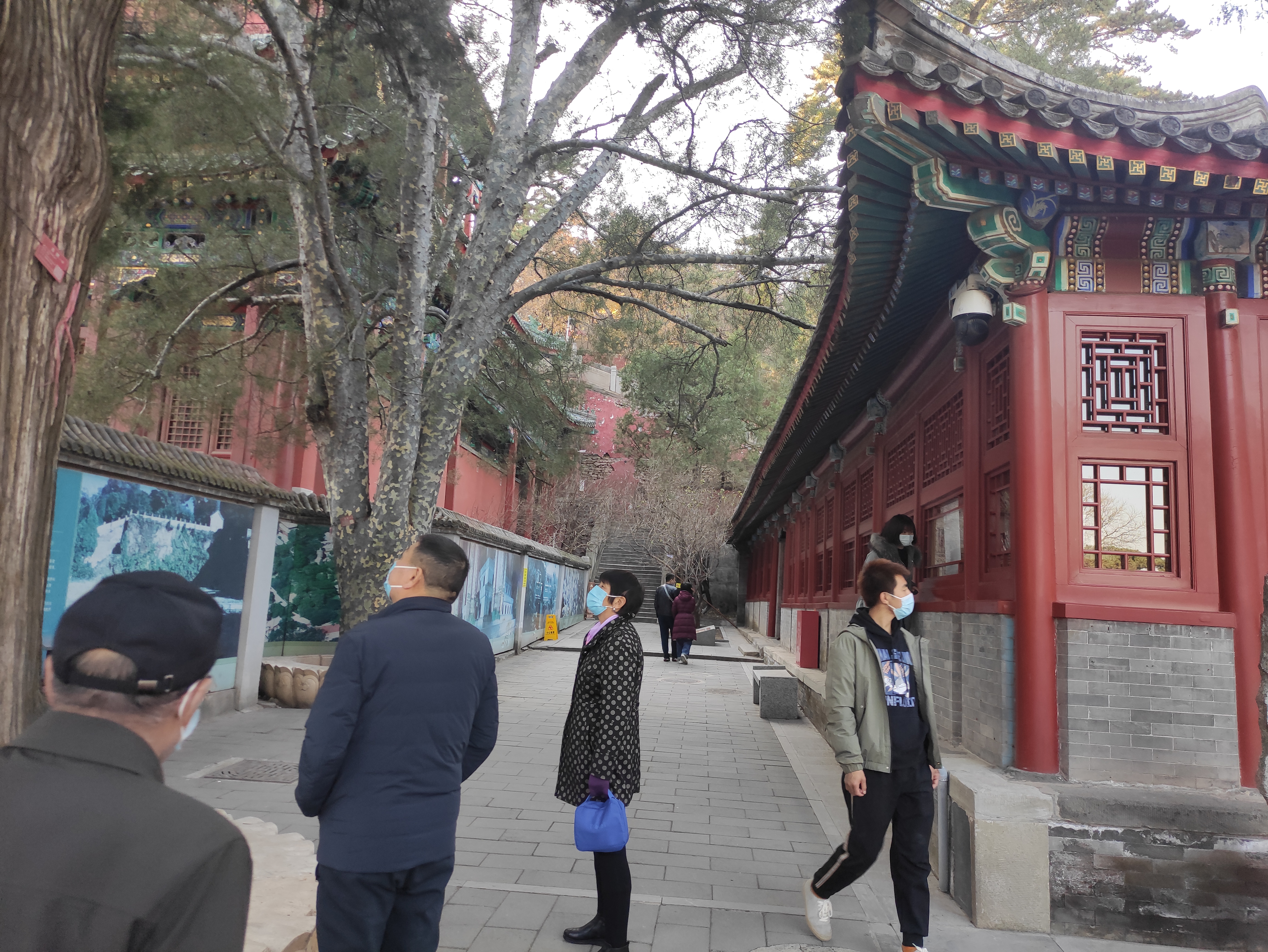 玉台寺攻略一日游,戒台寺游玩顺序