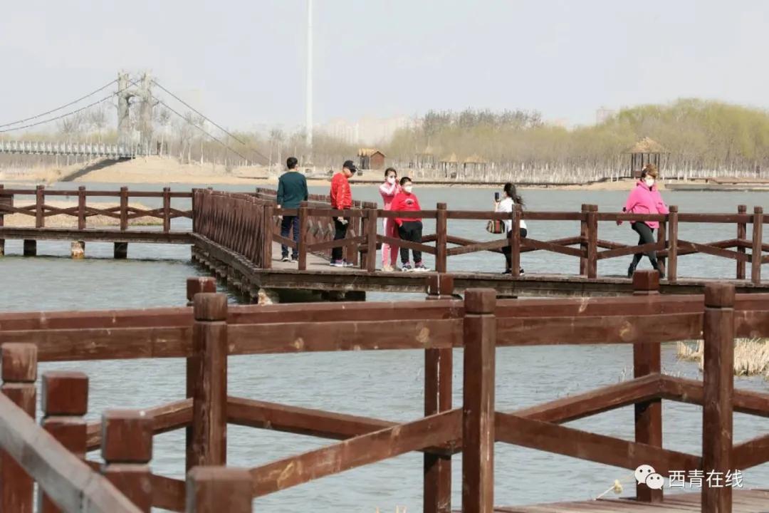 天津东疆亲海公园2022年开放吗,天津2022哪些公园恢复开放