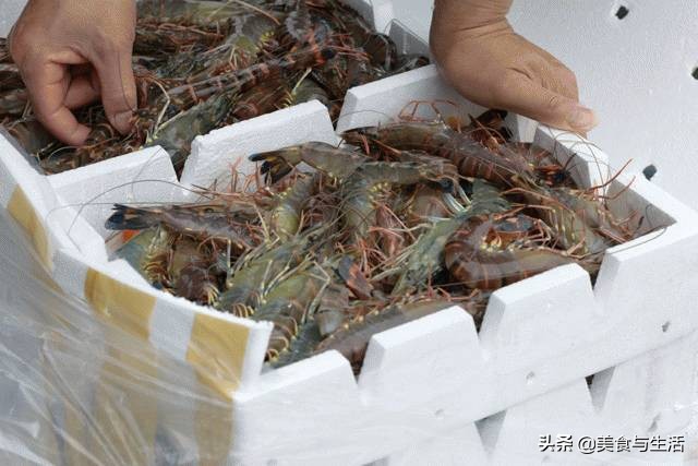 中国十大顶级大型海鲜市场在哪里,全国各大海鲜市场现状