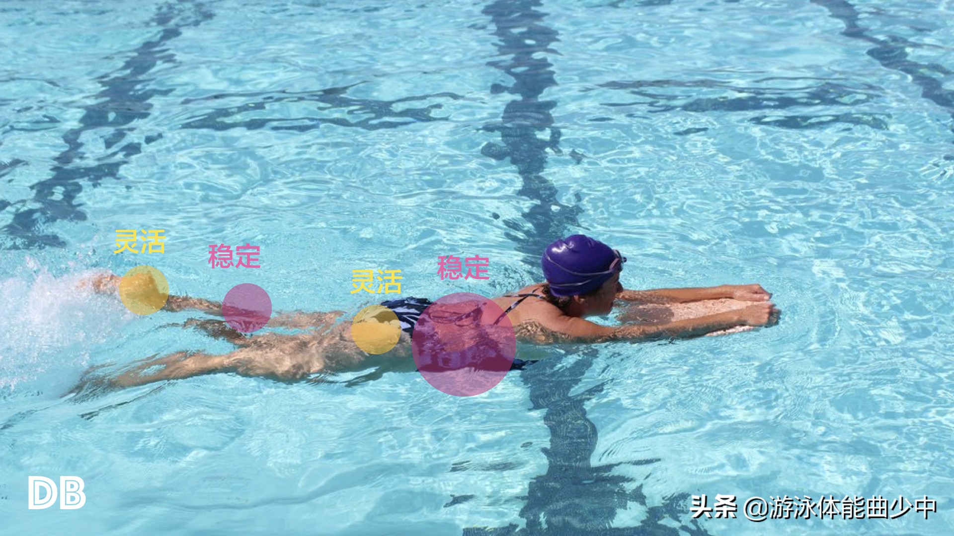 为什么游泳时要收紧核心?近端稳定造就远端的出色技术