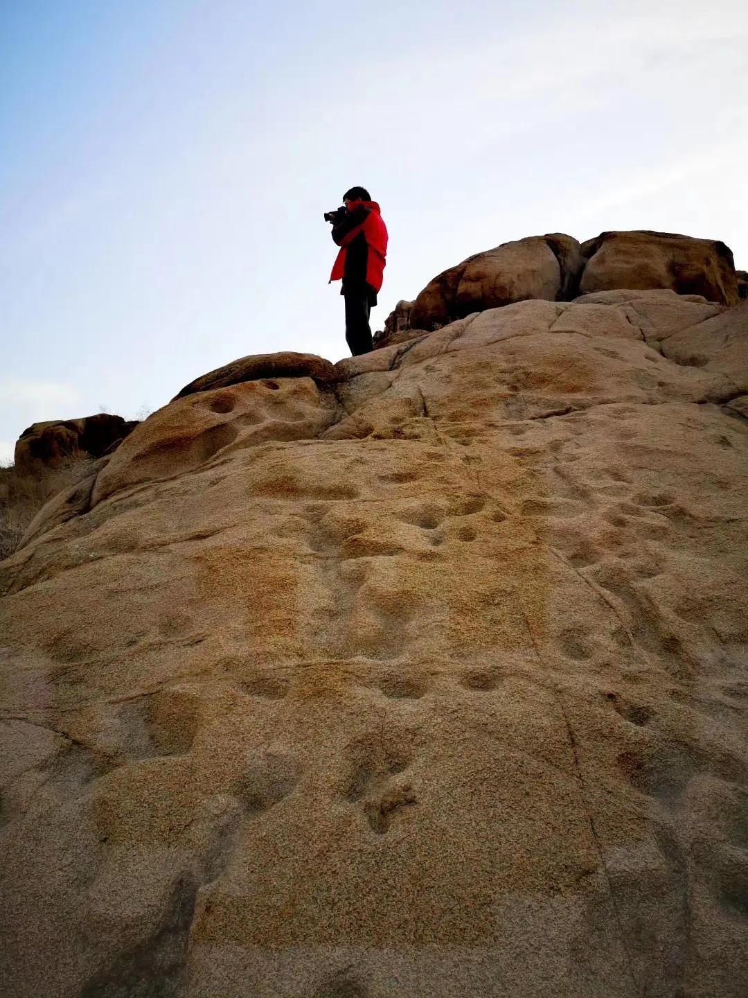 向秋全文阅读,向秋采春记原文