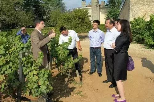 如何挑选好喝不贵的波尔多酒,波尔多aoc和优选波尔多aoc