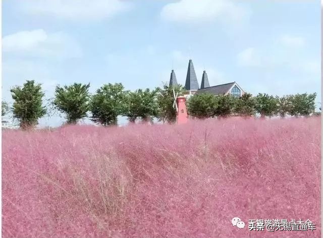 无锡唯有美食与你不可辜负,无锡夏日特色美食有哪些