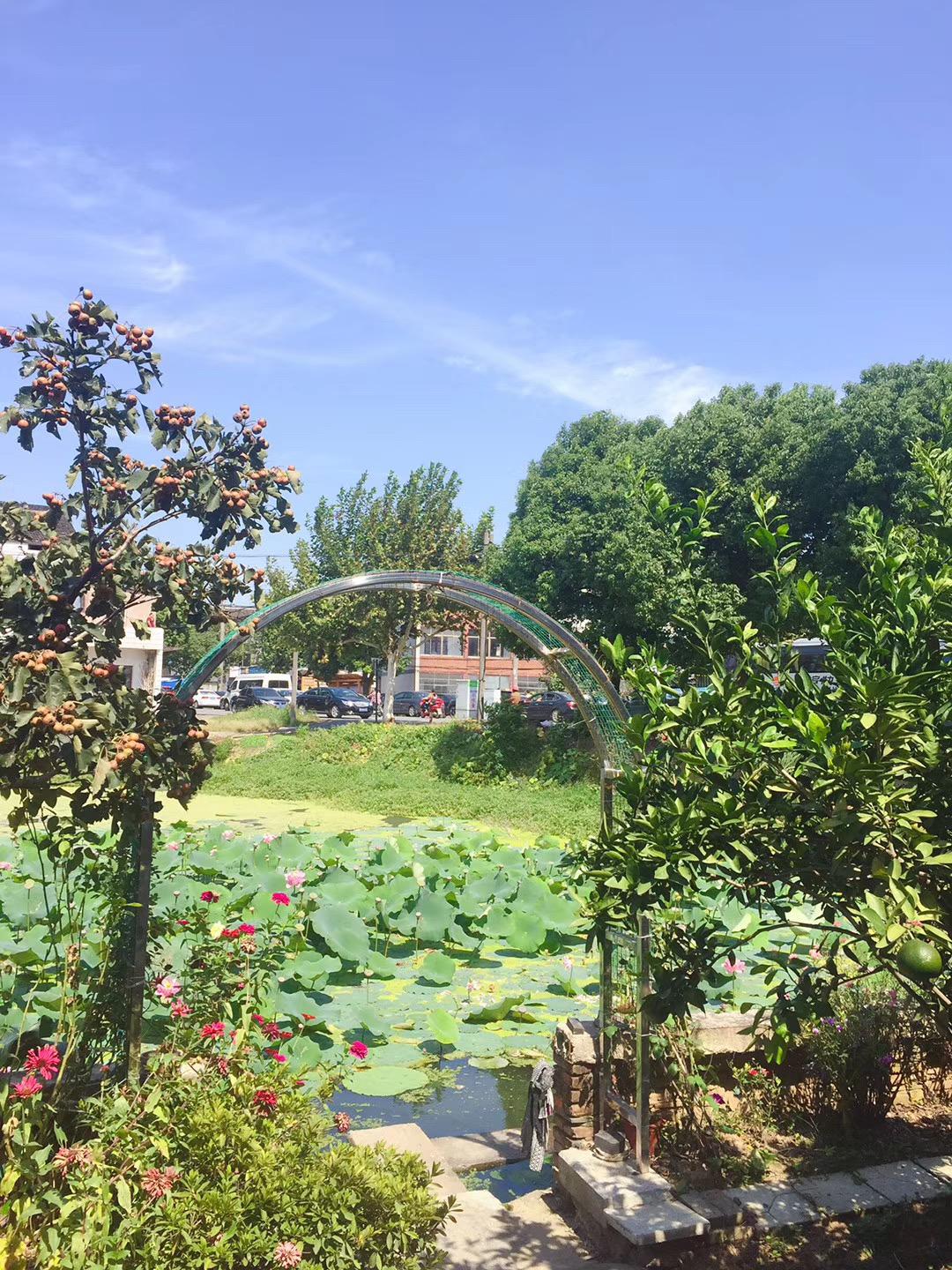 江阴人少景美,江阴有哪些人文景观