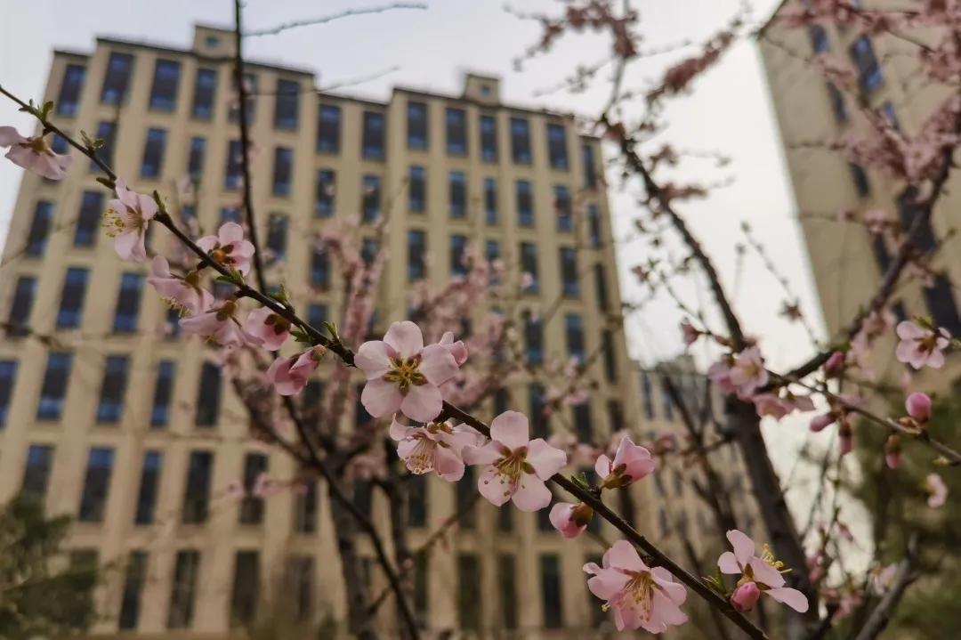 走在春天里简谱,歌曲走在春天里