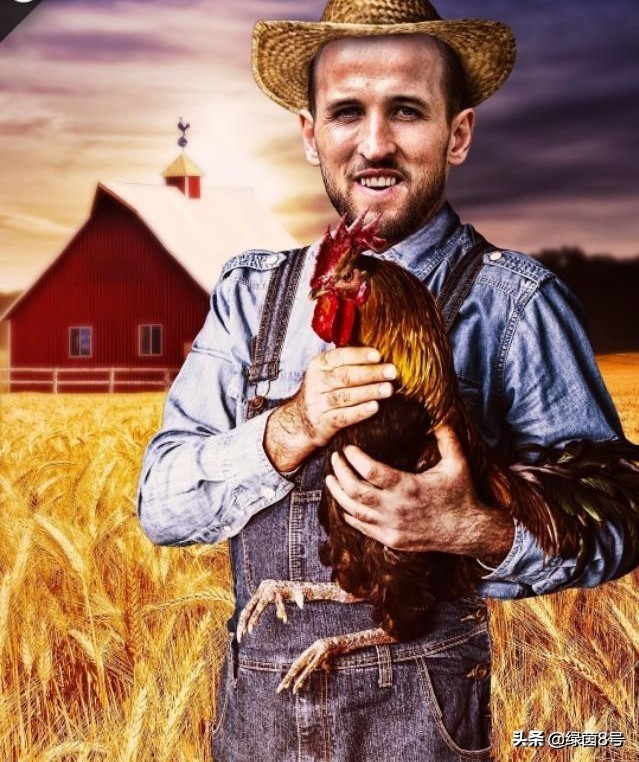 英超球队标志都是什么,英超热刺标志