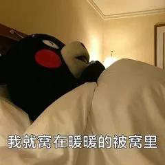 懒癌必备超好用睡眠面膜盘点,重度懒癌