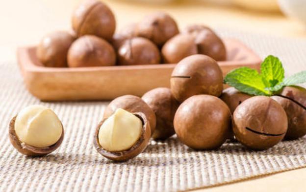 20种狗不能吃的食物,几种食物狗狗不能吃