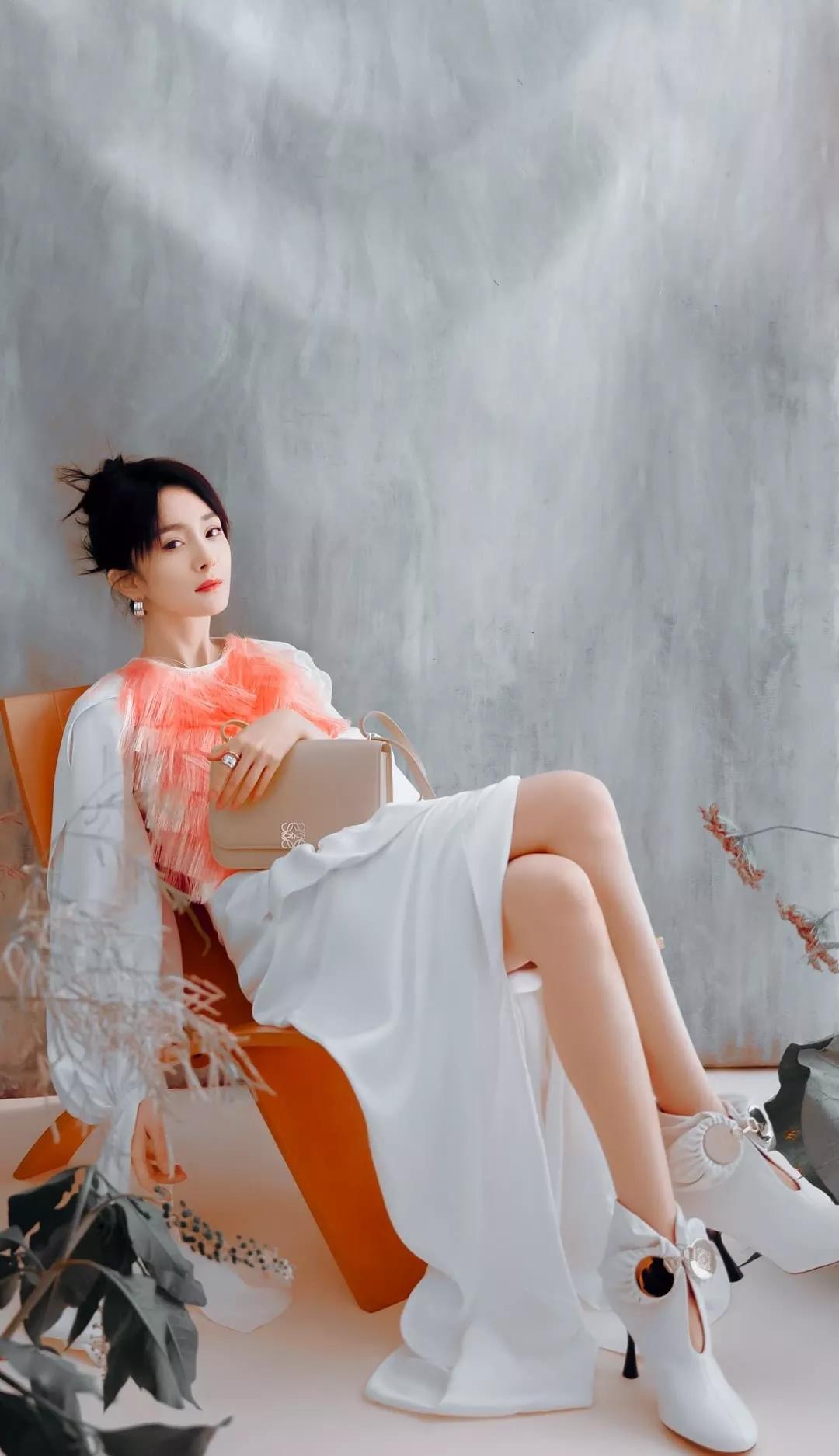 手机壁纸超清全面屏可爱猫,手机壁纸超清全屏2023最好看