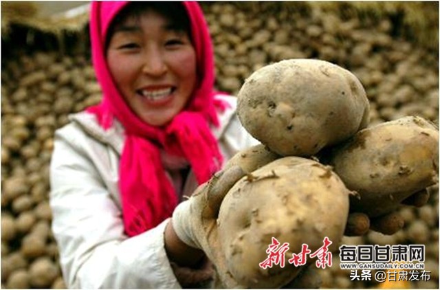 王一航：与农民一起扶犁37年马铃薯育种世界称王