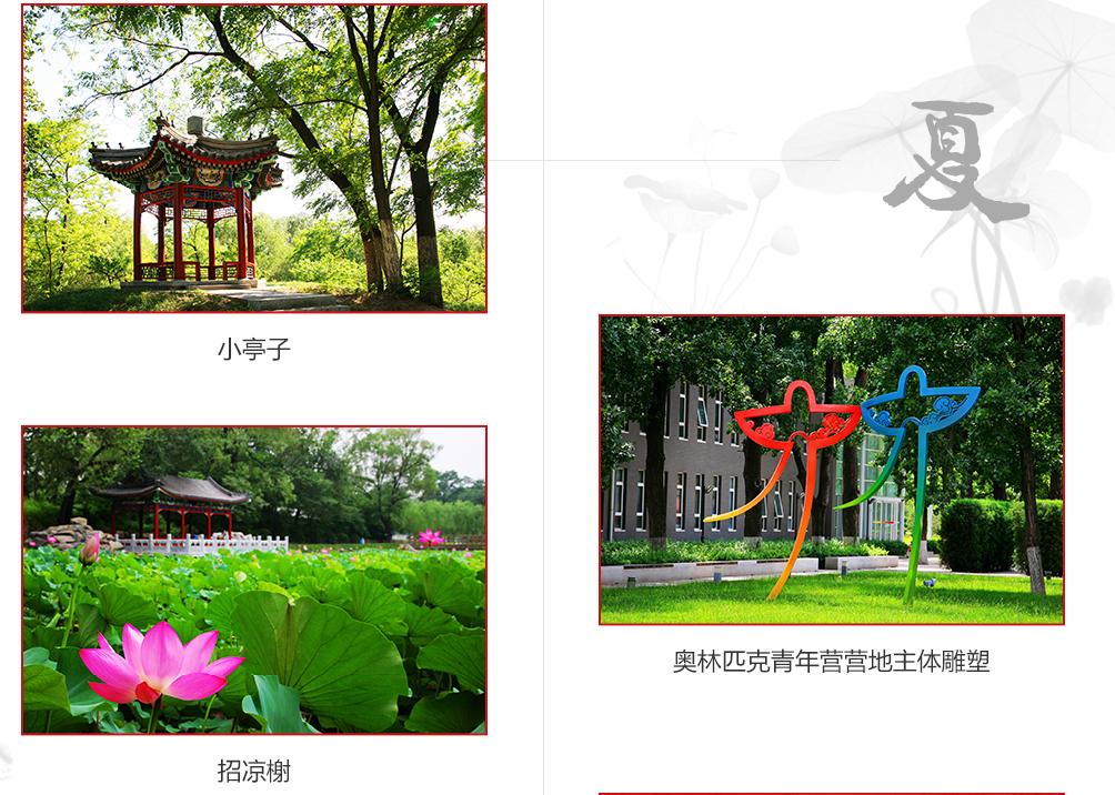 北京101中学温泉小升初招生条件,北京小升初1对1升学指导