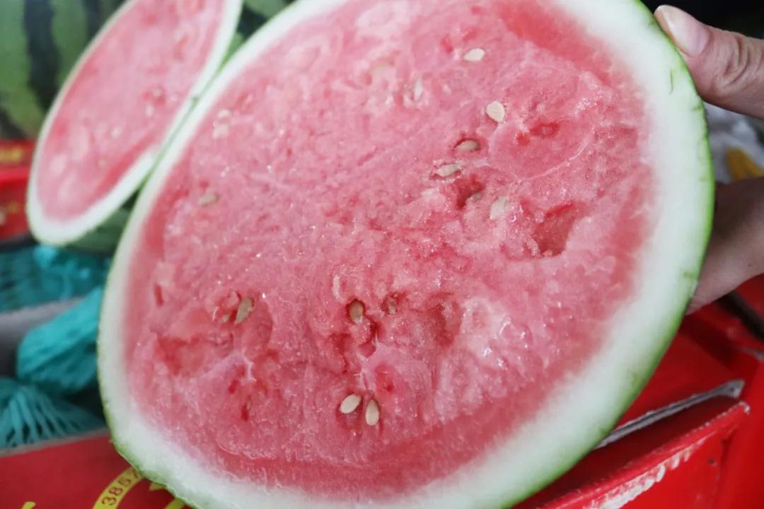 西瓜价格上涨原因,现在西瓜批发价格哪里最便宜