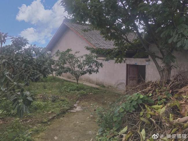 29岁成都女孩“组团养老”！辞职后和闺蜜在乡下爆改350㎡大房子