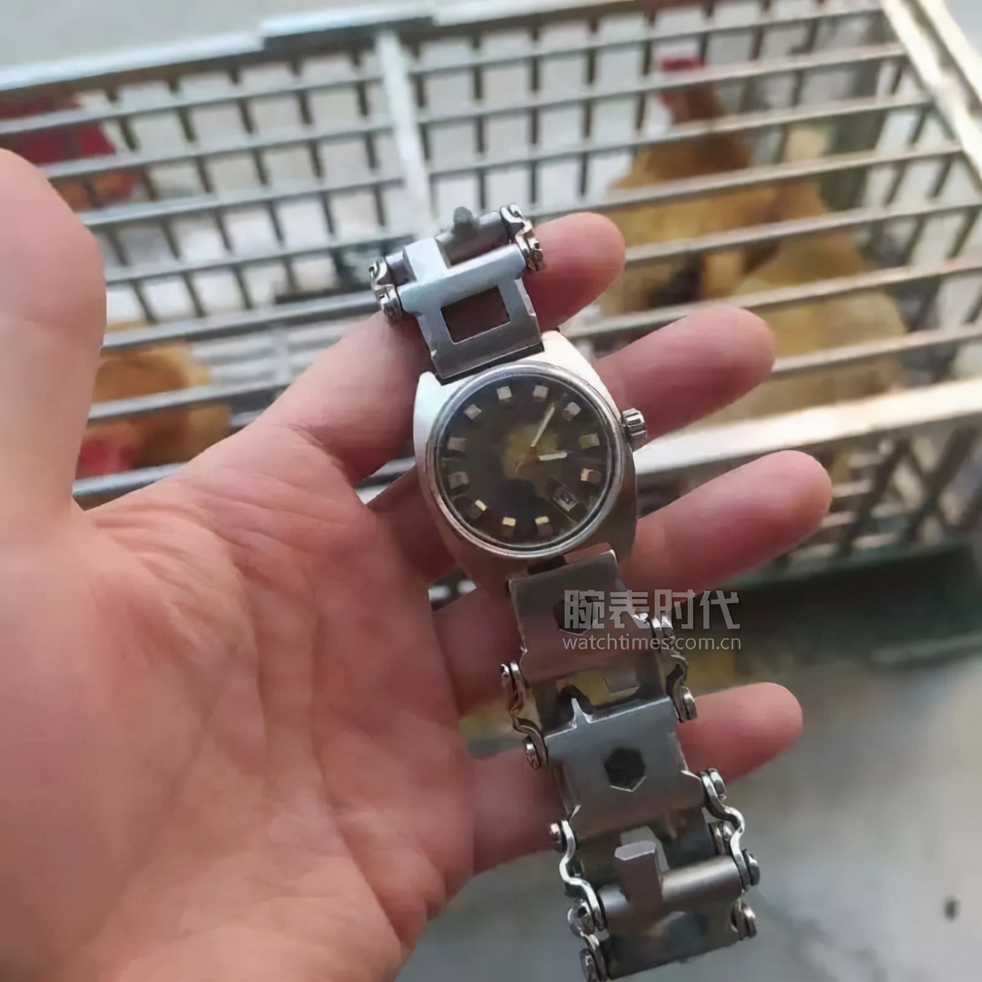 2021年十一出行戴表图鉴（终）