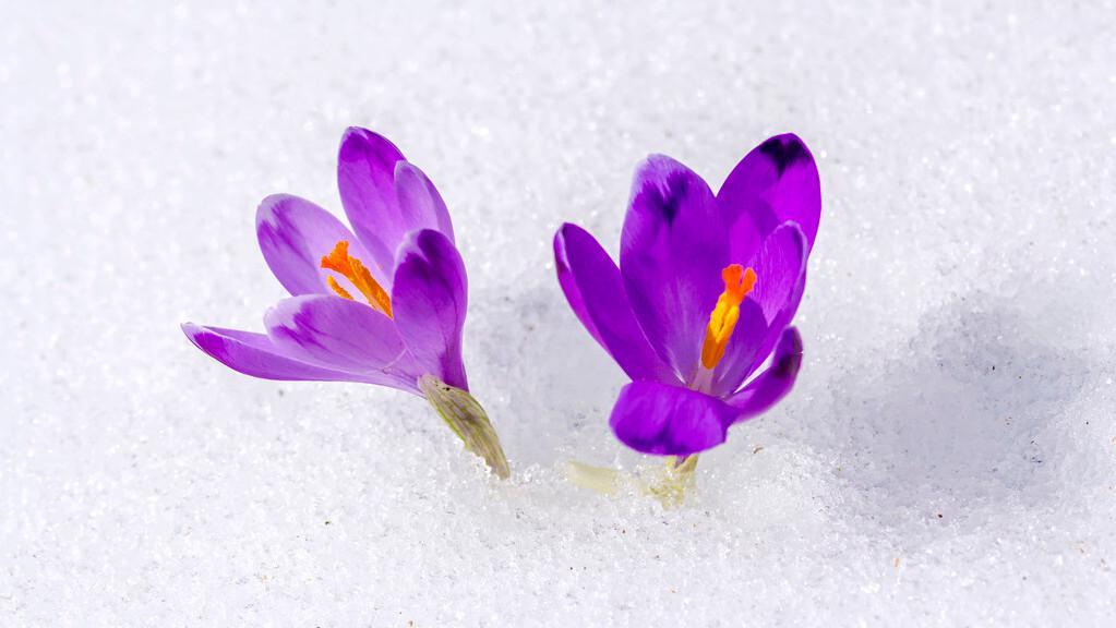 给青年教师的36条成长建议读后感,读书给教师的建议