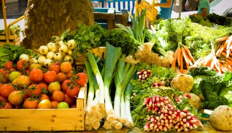 发展生态农业的问题有哪些,生态农业未来发展