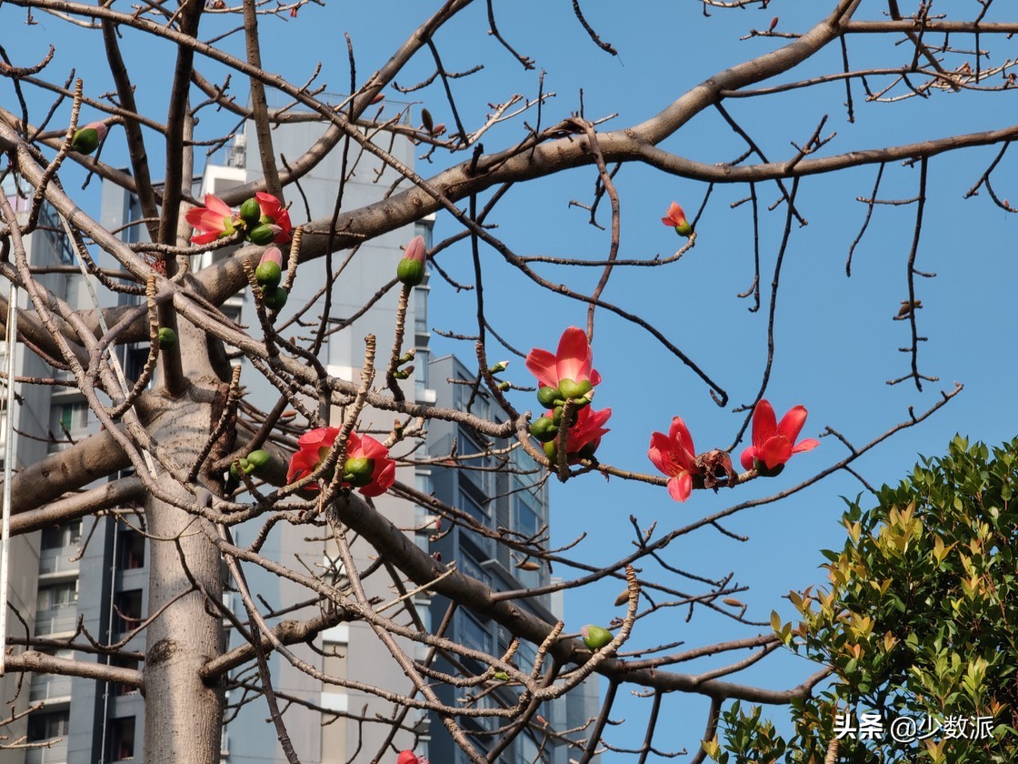 你最近「买了啥」好用的东西？少数派编辑们分享了这5件新玩意