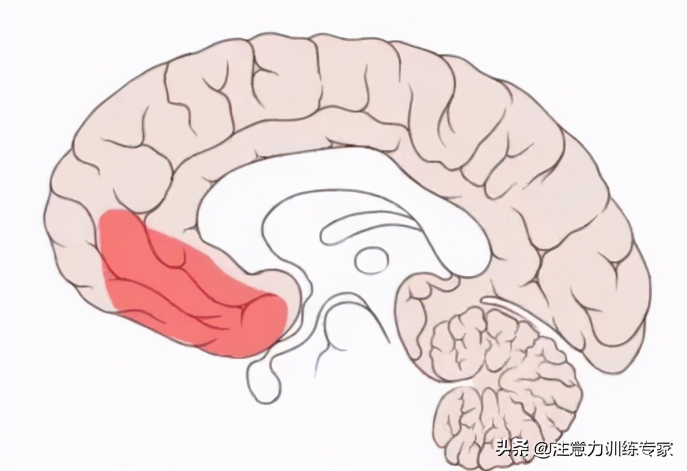 一考试就头脑空白？2个方法科学减少大脑刺激，孩子学习更高效