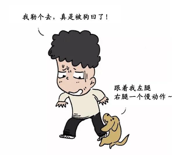 泰迪真的有那么“好色”吗？其实我们都冤枉它了，它也很无辜