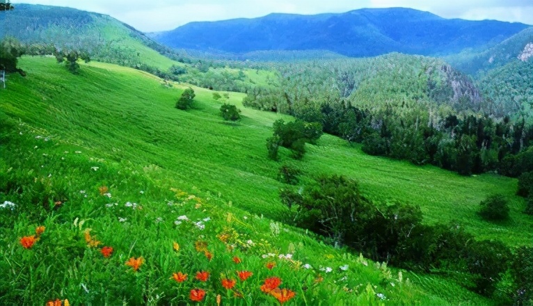 语文优美的词语,描写语文的好词语有哪些