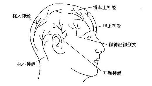 植发手术麻醉过程疼吗,植发手术麻醉过了会不会痛
