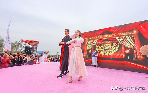 温州龙湾樱花,温州看樱花的地方