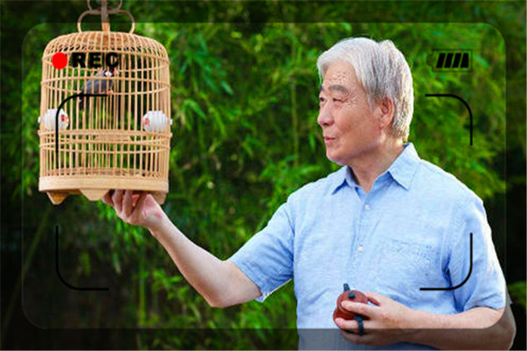 50岁了不能打工做点什么小生意好,30岁不想打工了可以做什么小生意