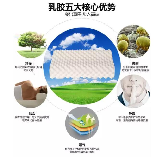 你买的乳胶枕是真的吗,网上能买到真正的泰国乳胶枕吗