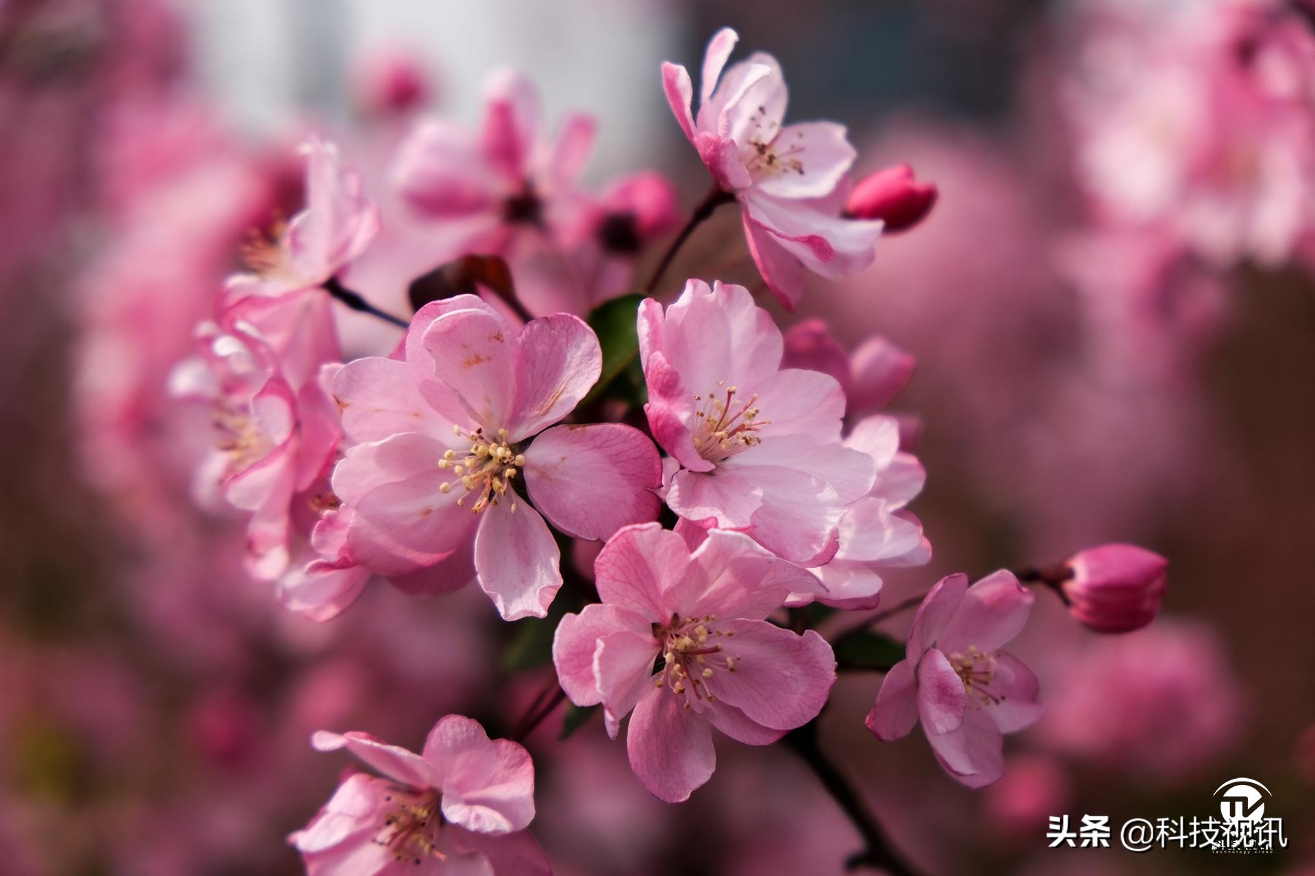 富士X-T30二代评测,富士x-t30开机键在哪儿