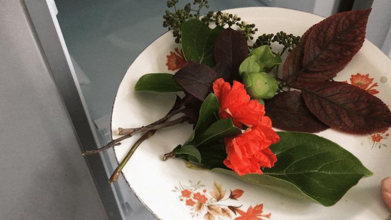 新飞双开门冰箱评测,新飞冰箱新品评测