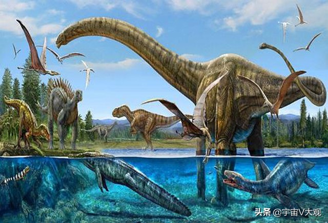 恐龙为什么灭绝得这么彻底,恐龙为什么会灭绝得到证实了吗