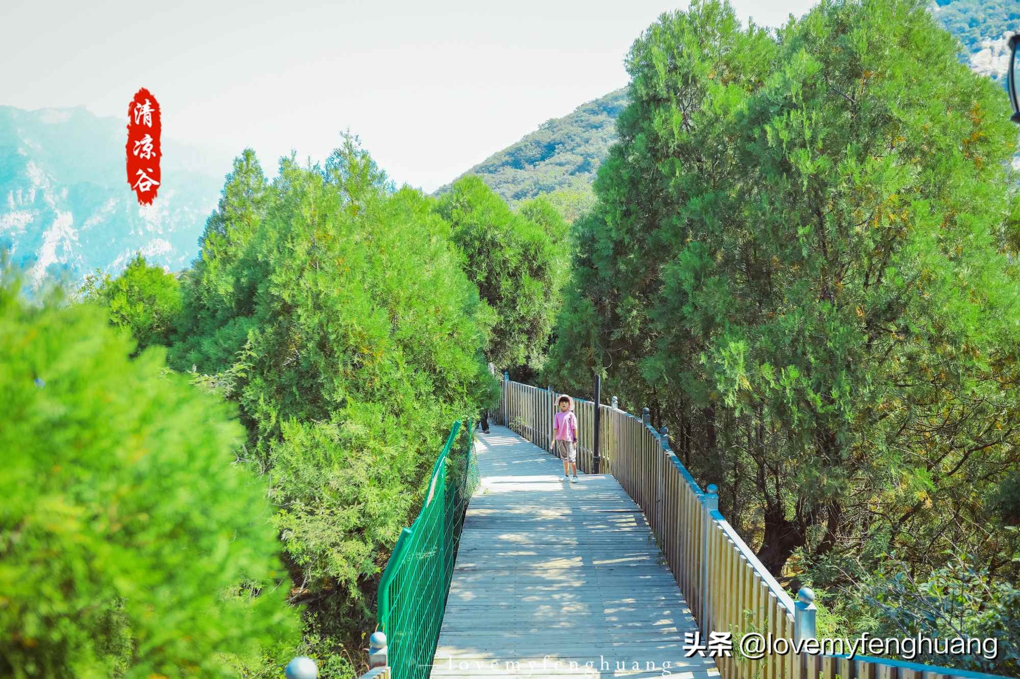 北京密云一日游玻璃栈道,密云玻璃栈道自驾游攻略一日游